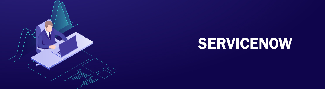 Software Developer